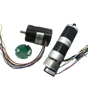 Boyutu 28mm-130mm kaliteli 12v 24v 36v 48v elektrik fırçasız Dc Motor özelleştirilebilir BL DC Motor 50w 100w 200w 300w 500w