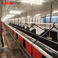 Ferme avicole nichoirs de poules pondeuses collecteur automatique œufs de poulailler nichoir d'œufs de poule déploiement