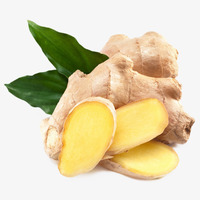 Boisson liquide au ginseng, gingembre et Pueraria – Qualité alimentaire, emballage personnalisable