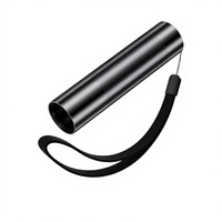 Lampe de Woods en alliage d'aluminium, détecteur de mousse et d'urine de chat, stylo-lampe torche UV 365 nm avec une portée de faisceau de plus de 500 m