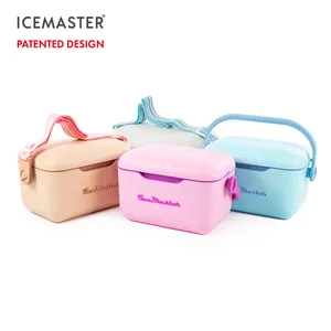 IceMaster küçük taşınabilir plastik buz göğüs gıda bira balık kamp sert mini yalıtımlı dondurucu buzluk çanta kutu moda coolerboxes