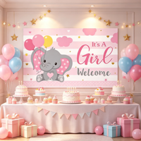 Panneau de jardin SHN SHN-216 pour révélation du sexe du bébé, bleu rose, éléphant, plastique, rectangulaire, décoration de pelouse extérieure, garçon fille