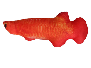 Mainan mewah gila Teaser ikan <span class=keywords><strong>Catnip</strong></span> uniseks untuk kucing persediaan hewan peliharaan PP simulasi katun bantal ikan pereda stres untuk kucing - Product Image 5