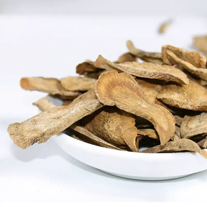 Rodajas de Raíz de <span class=keywords><strong>Bardana</strong></span> Niu Bang Gen, Productos de Plantas Medicinales Chinas, Hierbas de Alta Calidad, Arctium lappa L. para Especias Dietéticas - Product Image 1