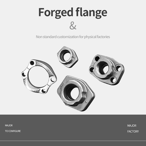 Clamps de Flange de Aço Inoxidável Forjado Personalizados DIY OEM/ODM com Alta Tolerância de Precisão +/-0.02mm - Product Image 5