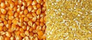 Máquina Desgranadora de Avena Pequeña, Peladora de Maíz, Desgranadora de Cereales, Máquina Peladora de Granos de <span class=keywords><strong>Cebada</strong></span> - Product Image 4