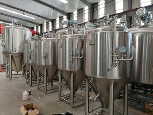 Tanques Fermentadores de <span class=keywords><strong>Cerveza</strong></span> de Acero Inoxidable Tonsen de 1000L, Sistema de Equipos de Fermentación Industrial en Venta - Product Image 6