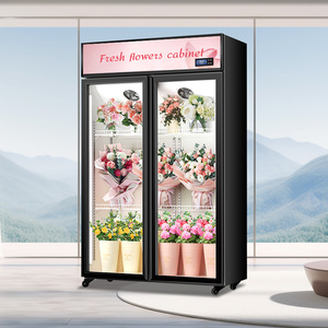Vitrina Refrigerada Transparente de 2/3 Puertas para Conservación/Exhibición de Flores para Floristería - Gabinete Comercial Sin Drenaje - Product Image 1