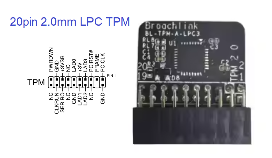 BL-TPM-A-LPC3 ( 20-1pin 2.0mm)