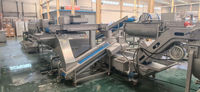 Industriële machine voor het wassen en snijden van groenten en fruit