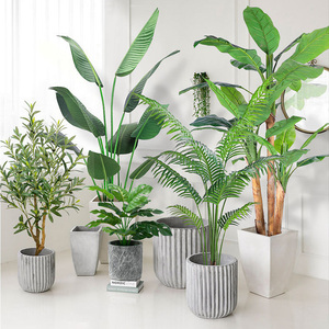 Cây ô liu nhân tạo trang trí trong nhà, gần như thật, cao 6ft (180cm, 2.1m), cây giả bằng nhựa, đồ trang trí sân vườn - Product Image 5