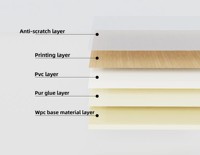 Revêtement mural en composite bois-plastique (WPC) imperméable de 8 mm, pour décoration intérieure, directement de l'usine, OEM, salon, hôtel, villa