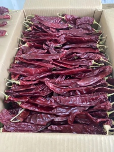 ISO certificato nuovo cile guajillo tavolo paprika baccelli con stelo - Product Image 3