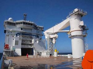 3 टन 5 टन 10 टन 15 टन 20 टन अंगुली बूम क्रेन जहाज पाल क्रेन समुद्री डेक क्रेन कीमत - Product Image 5