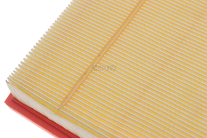 Precio al por mayor Auto filtro de aire personalizado 1741459 Cc119601cb filtro de aire para Ford Transit <span class=keywords><strong>Bus</strong></span> - Product Image 6