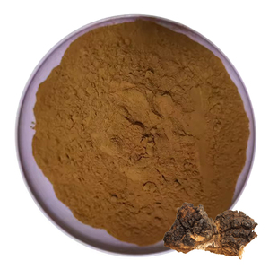 Chaga <span class=keywords><strong>Extract</strong></span> Chaga Paddestoel Inonotus Obliquus Chaga Poeder - Product Image 1