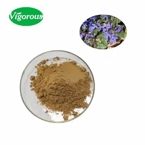 High Quality Plant Ajuga Turkestanica Extract Ajuga Turkestanica P.E.