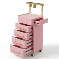 Meuble de salon de coiffure moderne en bois, chariot mobile avec poignée dorée, chariot de rangement multi-tiroirs à roulettes noires pour salon