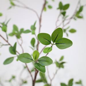 2025 nouvel arbre <span class=keywords><strong>Toona</strong></span> artificiel avec feuilles réalistes Faux arbre intérieur extérieur pour bureau à domicile salon chambre porche décor - Product Image 4