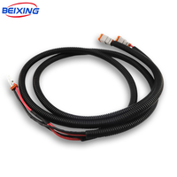 Harnais de câblage automobile personnalisé en PVC imperméable Tyco, assemblage de faisceau de câbles E00299 IP66 12V pour véhicules automobiles et véhicules à énergie nouvelle