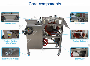 Máquina Peladora de Nueces Automática a Precio de Fábrica, para Almendras Húmedas, Anacardos, Semillas de Calabaza, Soja, Cacahuetes, Máquina para Quitar la Piel de Nueces - Product Image 2