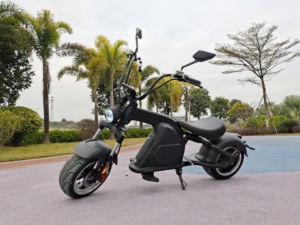 Mangosteen M8 Nouvelle Arrivée Scooters Moto Scooters Électriques Avec 2000W 3000W Citycoco - Product Image 2