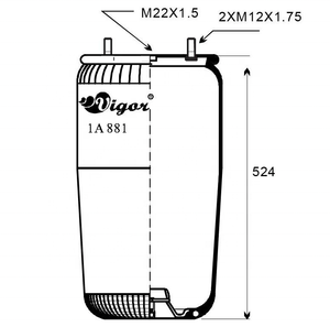 Molla ad Aria a Lobi Rotanti 1V 8978SA di Alta Qualità per BPW 36 / 05.429.40.01.0/1R14-708 Firestone W01-M58-8978 - Product Image 3