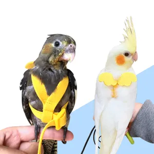 papagaio australiano Suppliers-Peaktoppets coleira de pescoço para aves, papagaio, ao ar livre, corda de treinamento para pássaros, parafusos, acessórios para pássaros