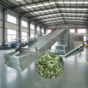 Séchoir automatique à bande maillée pour feuilles de Stévia, machine de séchage à bande maillée pour Abelmoschus Manihot, séchoir à Stévia - Product Image 1