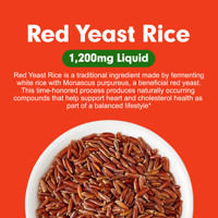Gouttes liquides de levure de riz rouge OEM ODM CoQ10 avec acide alpha-lipoïque pour soutenir des niveaux de cholestérol sains et une santé cardiaque optimale