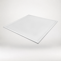 Panneau LED à éclairage périphérique 40W 600x600mm, CCT unique, driver LIFUD pour projets commerciaux