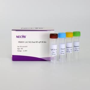 ชุดมืออาชีพ: แยกแยะความแตกต่างของ prrsv อเมริกันคลาสสิกและสายพันธุ์กลายพันธุ์ผ่านทางหลอดฟลูออเรสเซนต์คู่ RT - PCR - Product Image 1