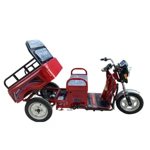 Tricycle électrique de cargaison, personnalisation du fabricant, nouveau modèle de Mini tricycle électrique de cargaison à vendre