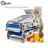 Automatische industriële sappersmachine voor geperste appel, peer, ananas, guave; geschikt voor sap- en drankenproductiefabrieken