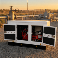 80kW 120kW 200kVA 150kW Gasgenerator für Heim und Industrie, Notstromversorgung mit Erdgas, LPG, LNG, Tragbares Stromaggregat mit Automatischem Start, Leise Stromversorgung