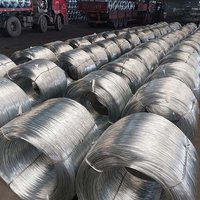 Sıcak Satış Elektro Galvanizli Demir Tel 30MM Çaplı İnşaat Dayanıklı Bağlama Teli ASI Serbest Kesim Çelik Bükme Kesme