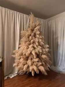 Pampas Secas de 110-130 cm, Novedades, Flores Decorativas Naturales, Flores Secas Esponjosas, Hierba de <span class=keywords><strong>Pampa</strong></span> Grande - Product Image 3