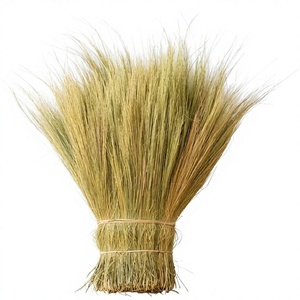 Matière première dure et écologique pour balais en herbe, pour la fabrication artisanale de balais en herbe, provenant de Jawa Tengah, Indonésie - Product Image 1