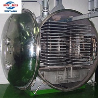 2026 Beste Verkoop XINYANG 125m2 Fruit- en Groente-lyofilisatiemachine