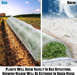 Túnel de Cultivo de Polietileno para Jardín de 3 m al por Mayor, Listo para Usar, Diseño Plegable, Campana de Protección para Plantas, Protege las Plantas Delicadas - Product Image 5