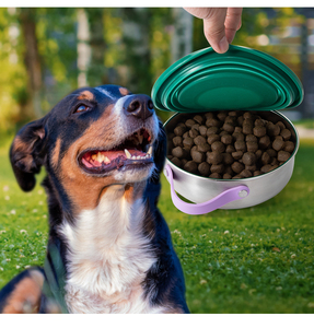 Alimentador de comida para mascotas 2 en 1 de 30oz, cuenco aislado para mascotas, botella de agua para mascotas de acero inoxidable a prueba de fugas para exteriores, alimentador lento para cachorro - Product Image 2