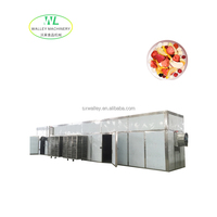 Aangepaste industriële hoog-efficiënte PLC-gestuurde roestvrijstalen 304 commerciële tunnel droogoven voor fruit met hoge suikergehalte, lade-type