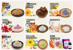 天然マンゴー葉エキスMangiferin 10% サプリメントCAS 4773-96-0 MANGIFERINパウダー - Product Image 4