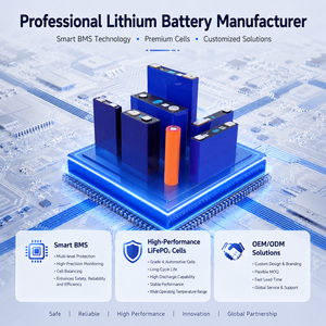 แบตเตอรี่รถกอล์ฟ 60V 100Ah กำลังสูง อายุการใช้งานยาวนาน ผลิตตามสั่ง OEM ขายส่ง แพ็คแบตเตอรี่ลิเธียมไอรอนฟอสเฟต จากโรงงานโดยตรง ROY-60V-100Ah-g - Product Image 5
