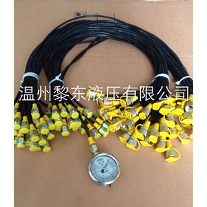 ขั้วต่อทดสอบแรงดันสูงซินหง PT-3 อุปกรณ์เสริมเครื่องมือไฮดรอลิกขนาดเล็ก - Product Image 4