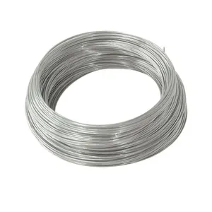 Customized Length Galvanized Steel Wire Rope 5mm ASTM B498 Hot Dipped Galvanized Steel Wire 1.8 mm 3.8 mm