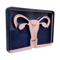 Modèle de formation pour dispositif contraceptif intra-utérin (DIU) féminin Pratique éducative pour la formation des étudiants en sciences médicales