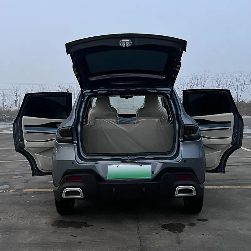 2024 nouvelles mini-voitures Véhicules à énergie nouvelle petite voiture électrique bon marché