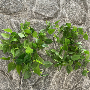 Guirlande murale artificielle verte Suzume II 200 cm en soie, décoration intérieure, accessoires de photographie, écologique - Product Image 3
