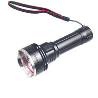 Lampe torche UV OEM personnalisée Lanterne lumière noire LED UVC à ondes courtes 254nm 300nm 365nm Lampe de poche ultraviolette UV